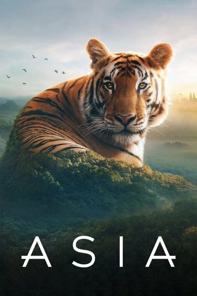 L'Asie - Saison 1