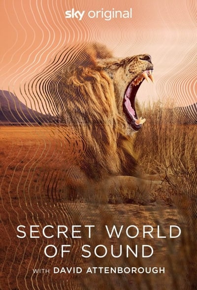 Le Monde Secret Du Son Avec David Attenborough - Saison 1